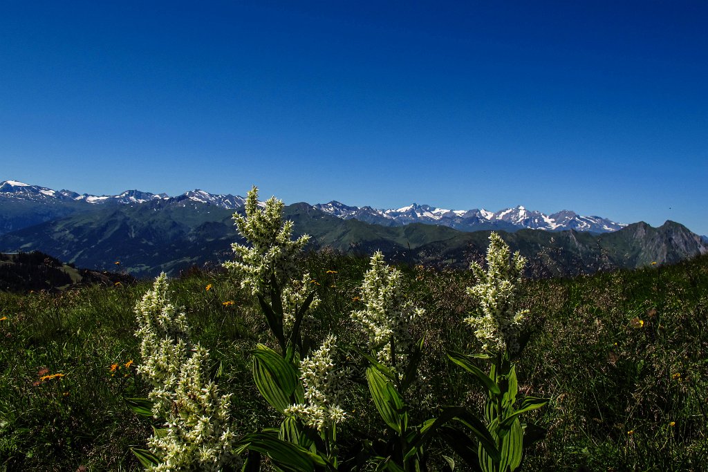 69 nochmals Panorama.jpg